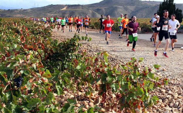 Participantes en una edición anterior de la Carrera entre Viñedos. / M.H.
