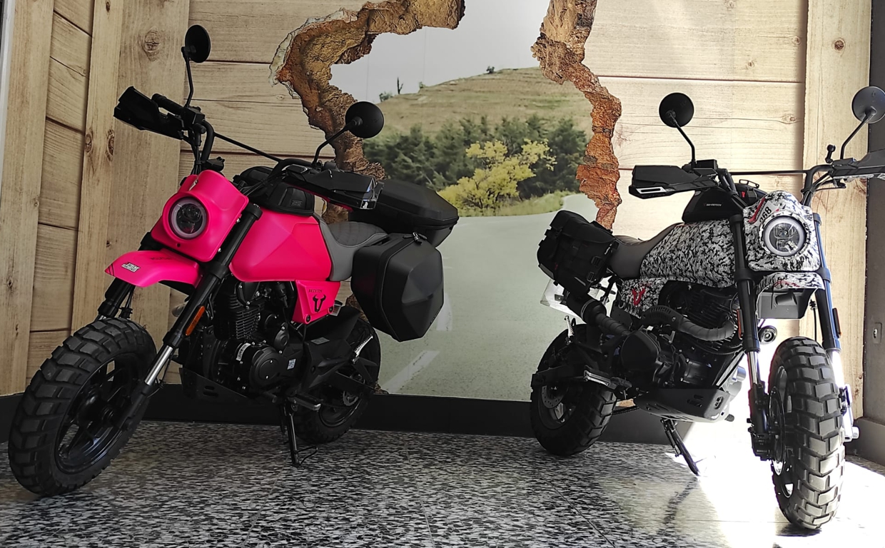 Los dos modelos customizados/P.F.