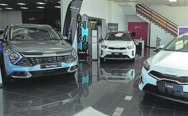 Nuevos vehículos en el concesionario Garte Turismos, de la marca Kia, han recibido esta semana diferentes modelos de coches. / SONIA TERCERO