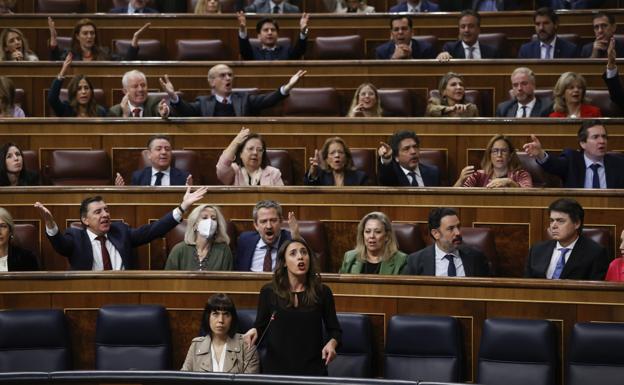 Irene Montero, en el Parlamento. / J. C. HIDALGO /EFE