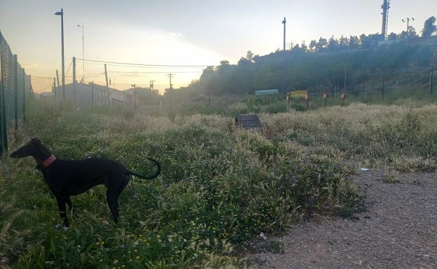 Zona de esparcimiento canino donde se construirá el 'pump track'. / D. M. A.