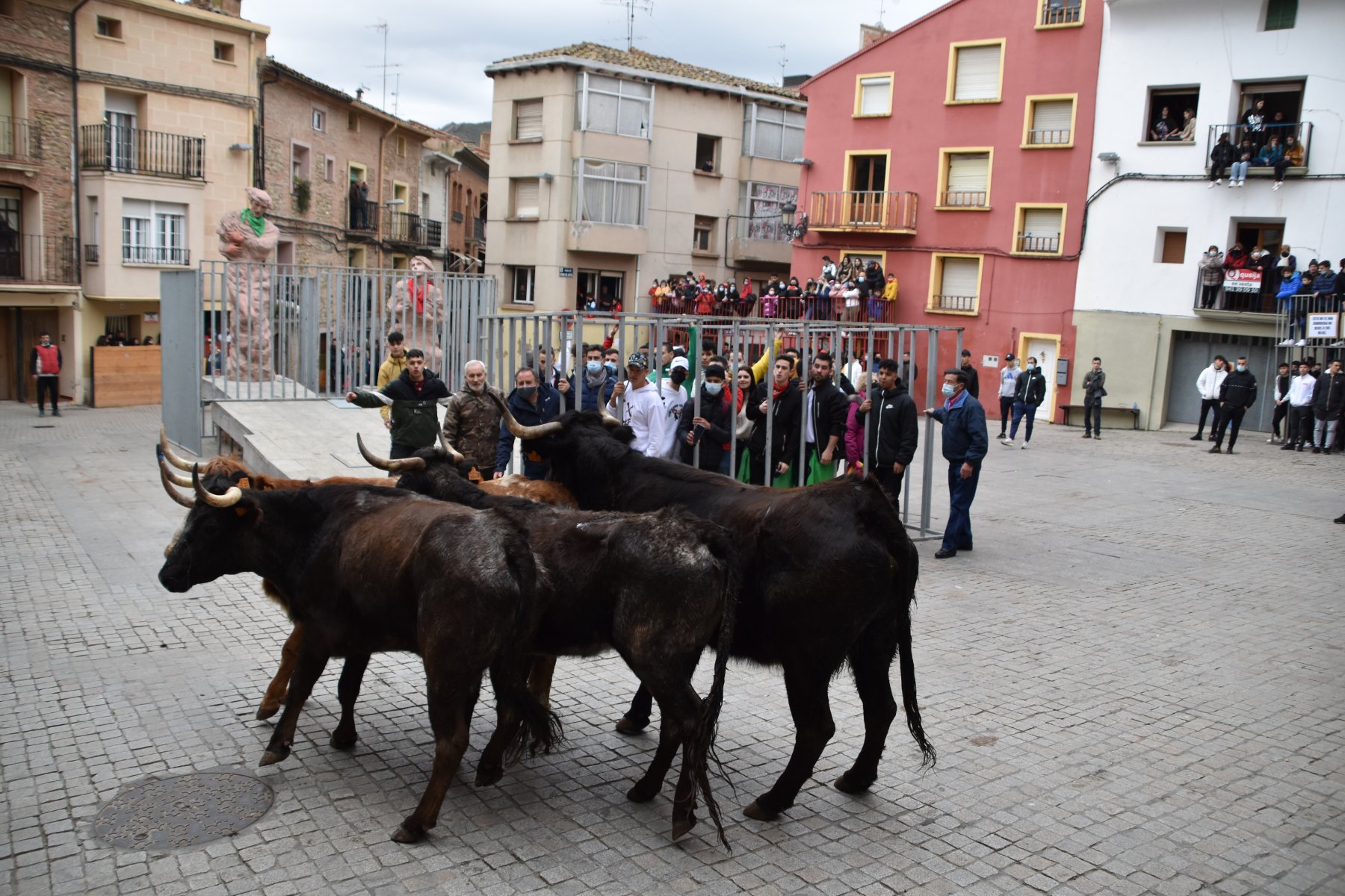 Encierro de 2022 en Autol. / SANDA