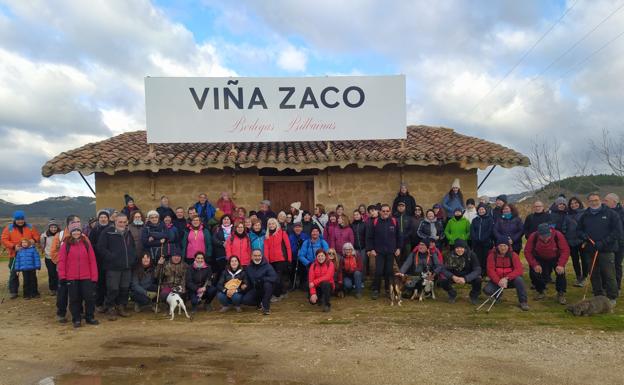 Imagen de parte del grupo en el viñedo de Viña Zaco. / C. M.