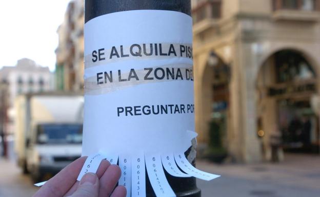 Imagen de archivo de un cartel instalado por un particular en una farola de la calle Portales de Logroño sobre un piso de alquiler. / JUAN MARÍN