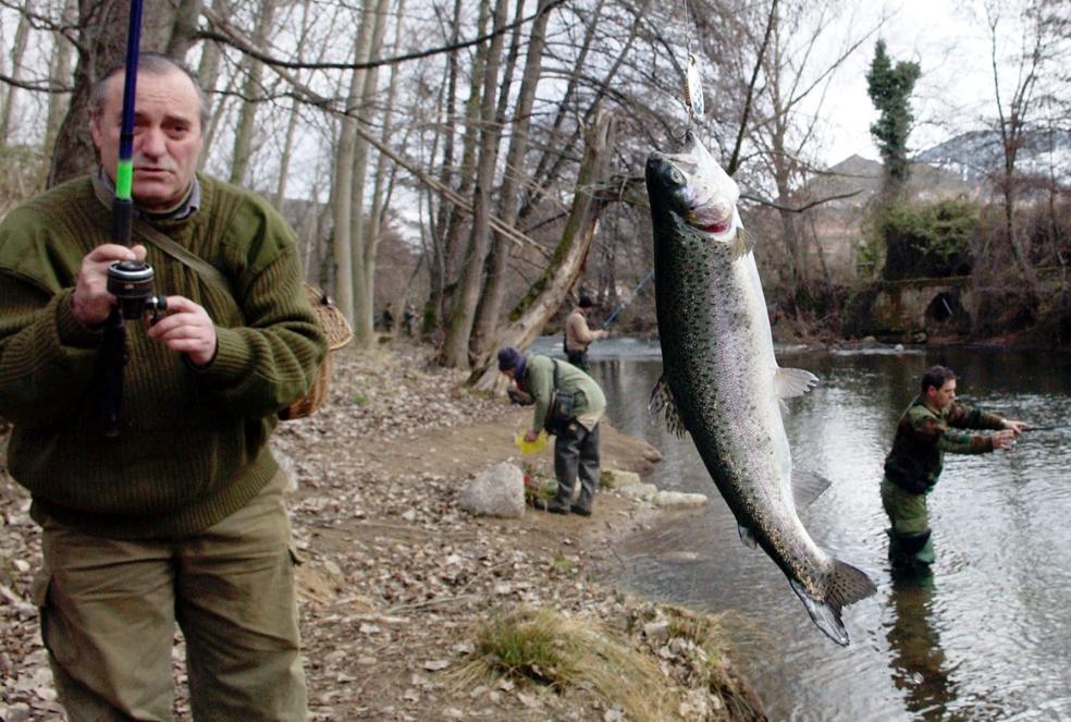 Un pescador captura una trucha en el río Iregua, en el tramo del término municipal de Viguera. /Justo Rodríguez