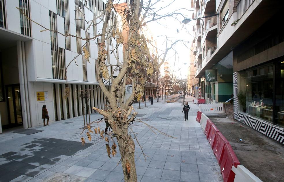 El primer tramo de Doctores Castroviejo con las vallas de distinto tipo que conserva tras la suspensión de las obras. /Juan Marín