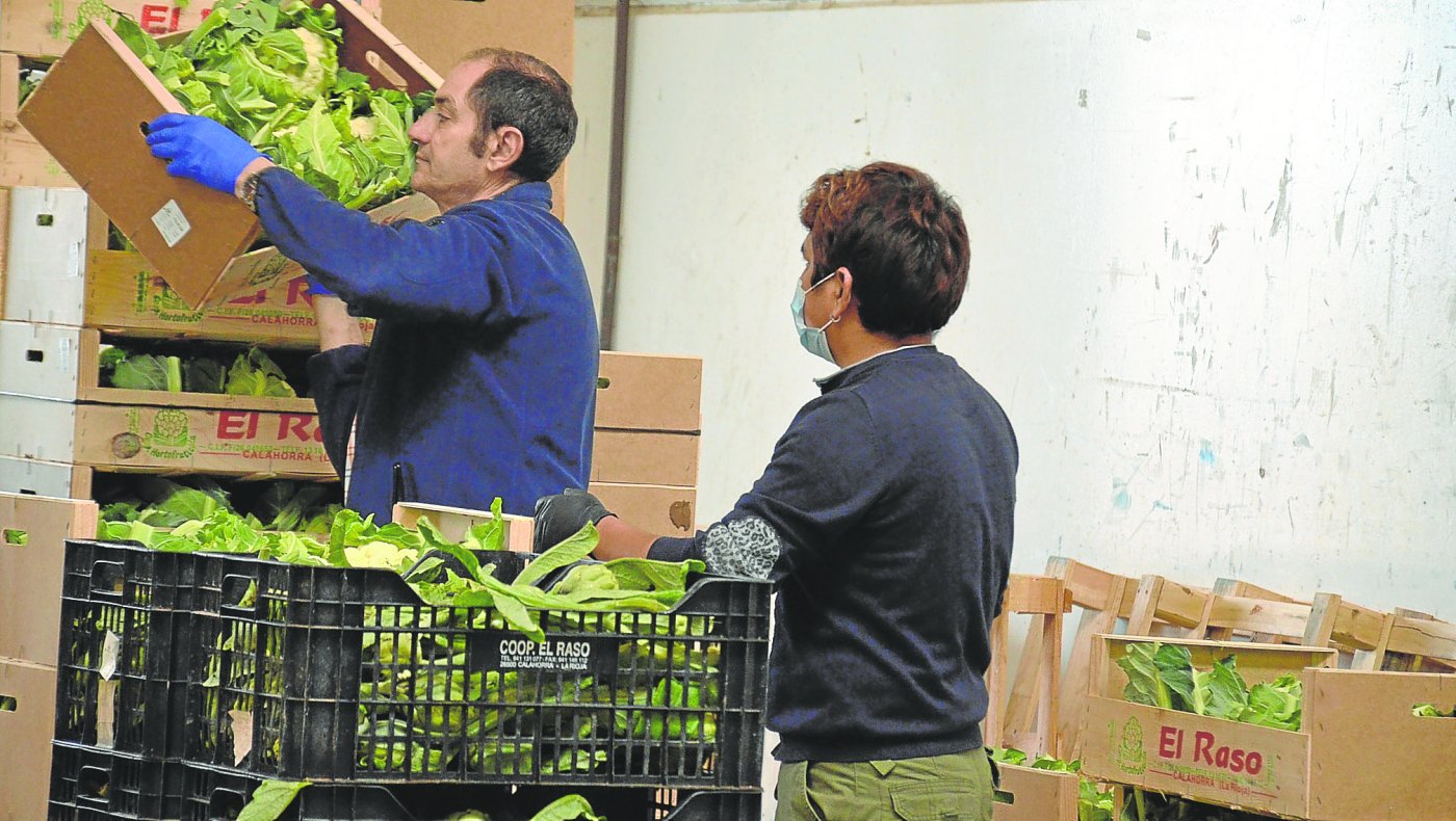 Los vegetales frescos son los líderes