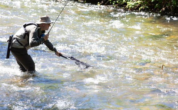 Un pescador practica la pesca en el río Iregua, a la altura de Torrecilla en Cameros. / SONIA TERCERO