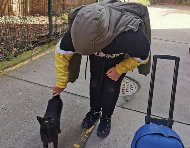 La familia encontró a la gata en la plaza de Suso, en Nájera. / APARIOJA