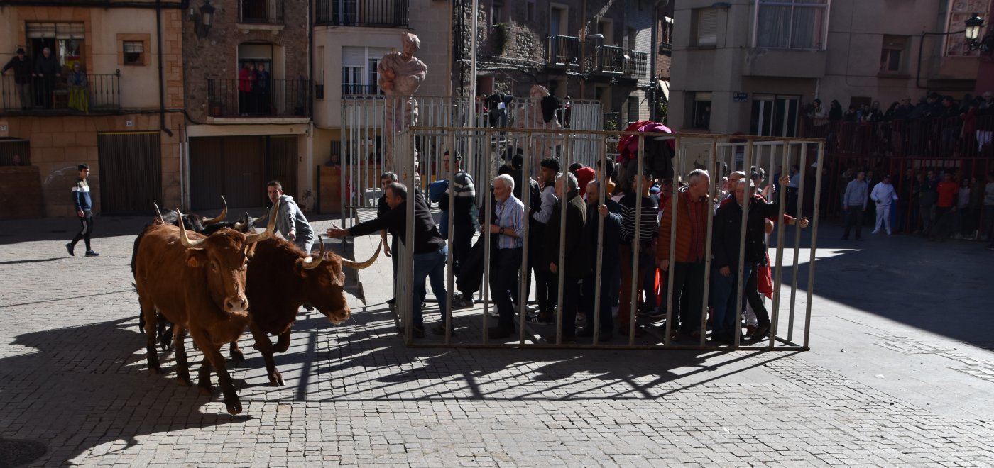 Encierro de esta mañana en Autol. / S. S. J.