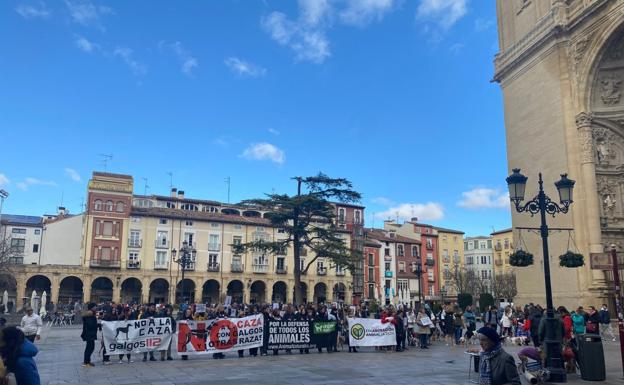 Manifestación animalista en la plaza del Mercado, a mediodía de ayer. / L. R.