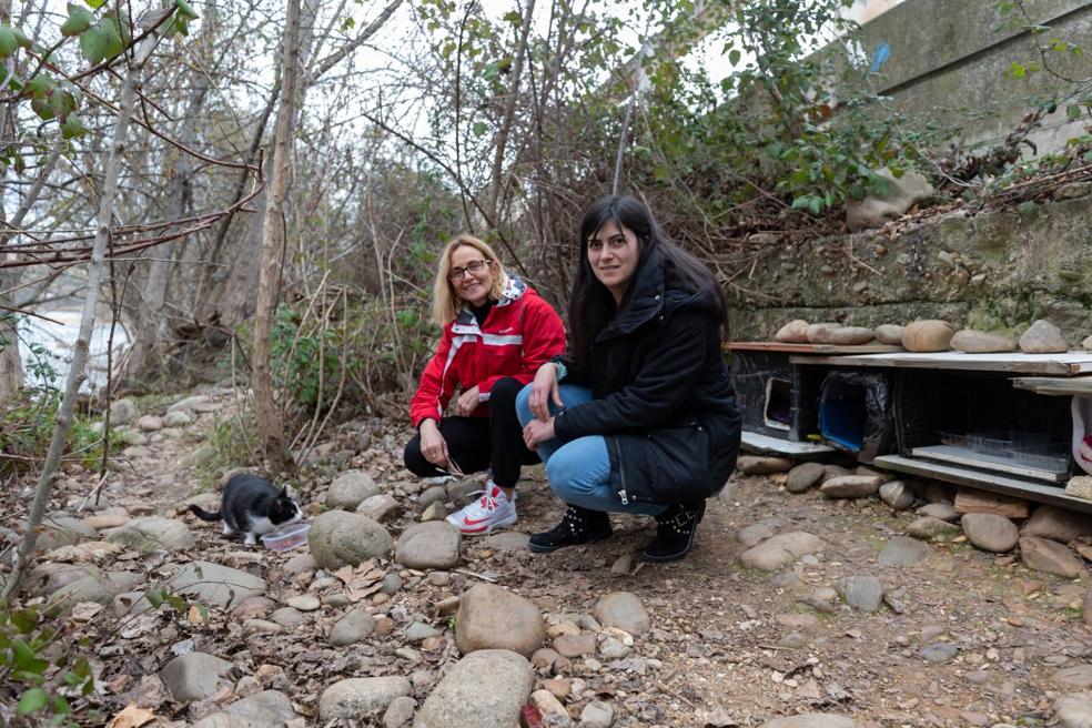 Susana Revilla y Victoria León, esta misma semana, posan junto a Feralito en una de las colonias felinas asentadas en las riberas del Ebro. / SONIA TERCERO
