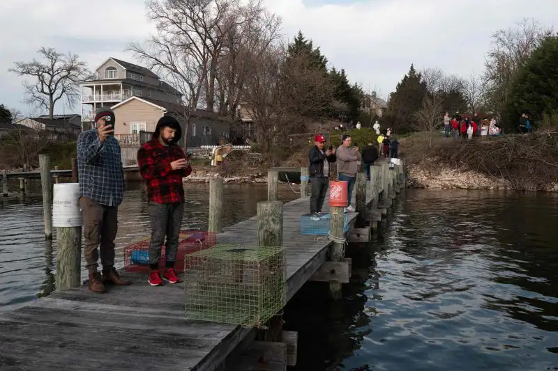 Varias personas toman imágenes y observan el puente desde uno de los muelles de la ribera del Patapsco.