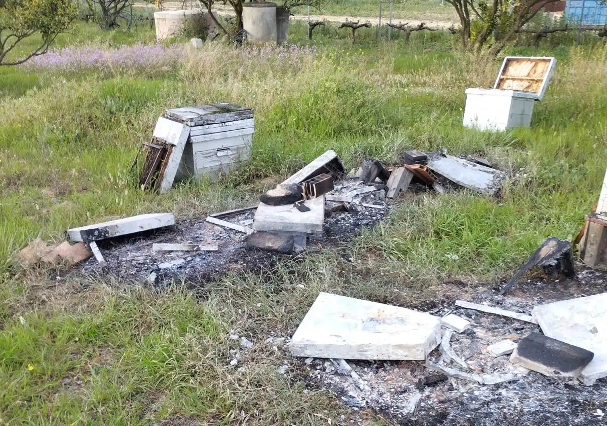 Un menor, acusado de matar de una paliza al hombre que asesinó a su padre