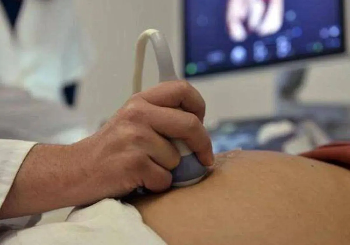 España registró 103.097 abortos el año pasado, un 4,8% más