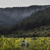Maturana, la gran desconocida 