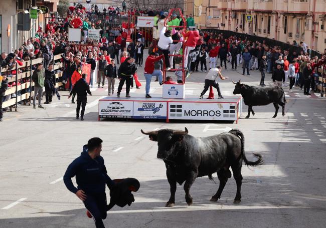 El sol se apuntó al primer acto del día, una multitudinaria suelta de reses bravas en el recorrido habitual.