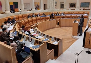 Martín insiste en defender la reorganización de la Villanueva pese a las quejas de usuarios