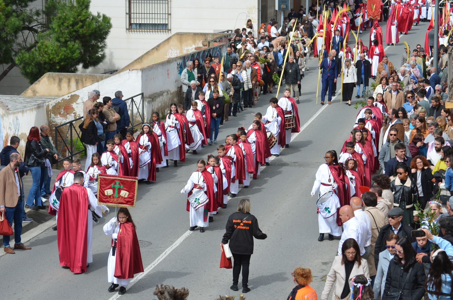 La Borriquilla recorre las calles de Calahorra
