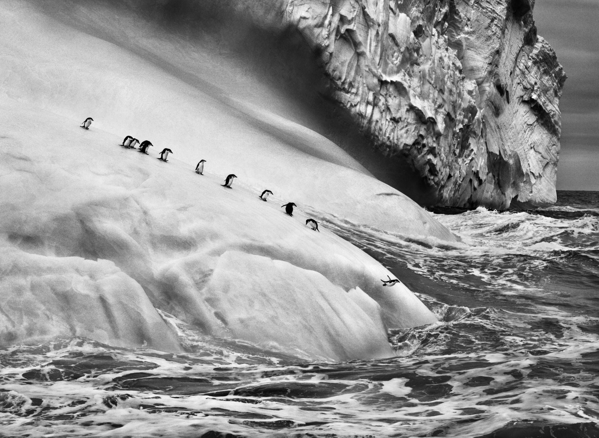 Fotografía de la exposición 'Génesis' de Sebastiao Salgado. La muestra refleja el esplendor de los paisajes de la Tierra.