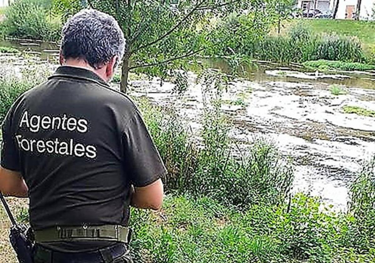 Un agente forestal, en una imagen de archivo.