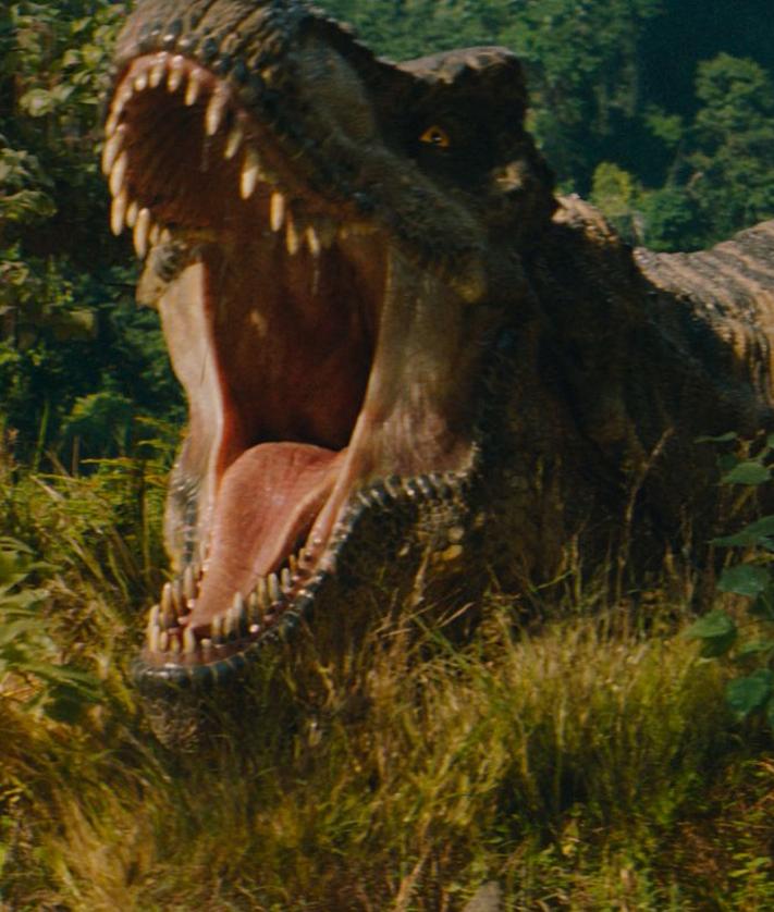 Imagen secundaria 2 - Tres fotogramas de la película.