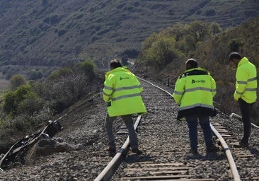 Capellán reprocha al Ministerio haber decidido sobre el tren a Miranda «sin contar con el territorio»