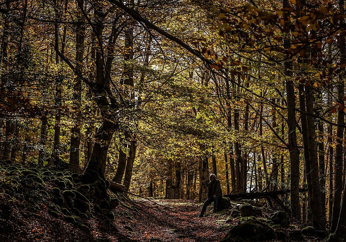 El otoño luce en La Rioja